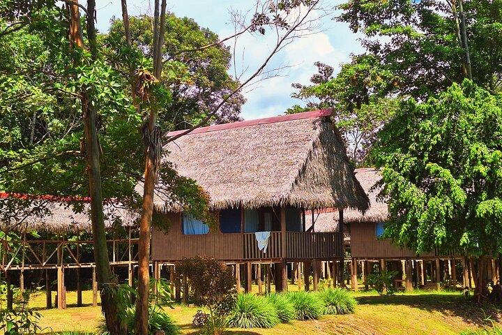 4-Day Amazon Jungle Tour in Iquitos at Curassow Amazon Lodge