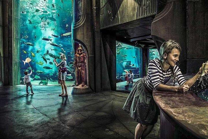 Lost World Aquarium Ticket in Atlantis Dubai