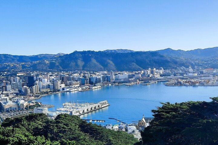 Wellington Shore Excursion: From Cave to Coast Highlights Private Tour