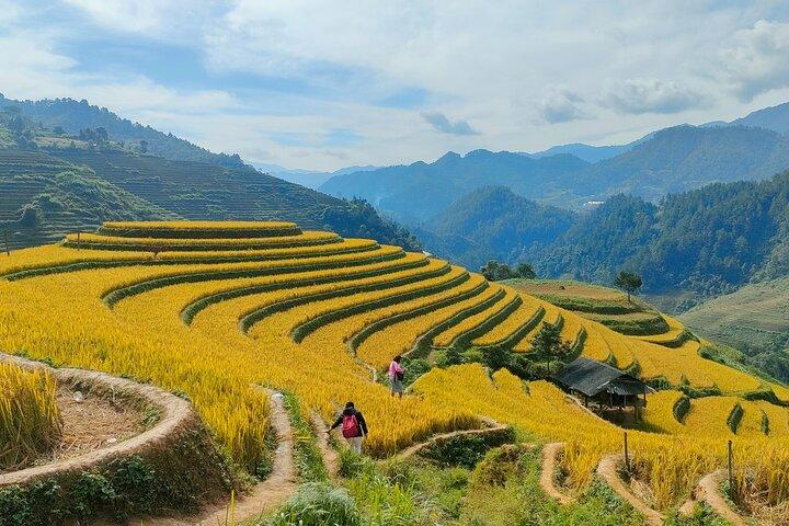 Full Day Private Trekking Mu Cang Chai