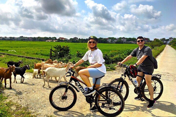 From Hanoi: Ninh Binh Highlights 2 Day 1 Night Small Group Tour