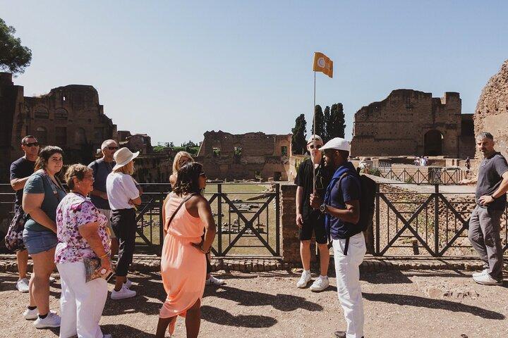 Colosseum, Palatine Hill and Roman Forum Guided Group Tour