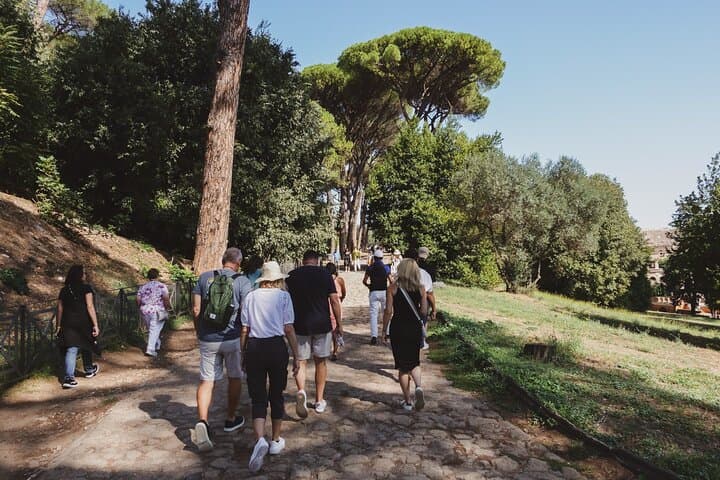 Guided Group Tour of Colosseum, Palatine Hill and Roman Forum