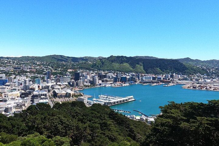 Wellington's Original LOTR Experience - includes Weta and Lunch