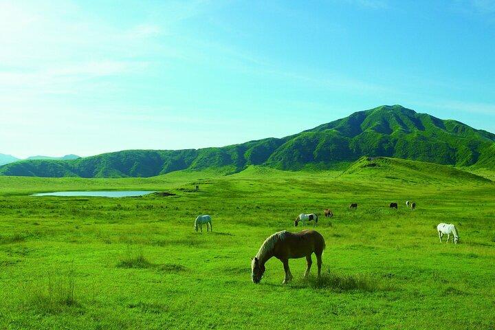 From Kumamoto : Mt.Aso and Takachiho All-inclusive Private Tour