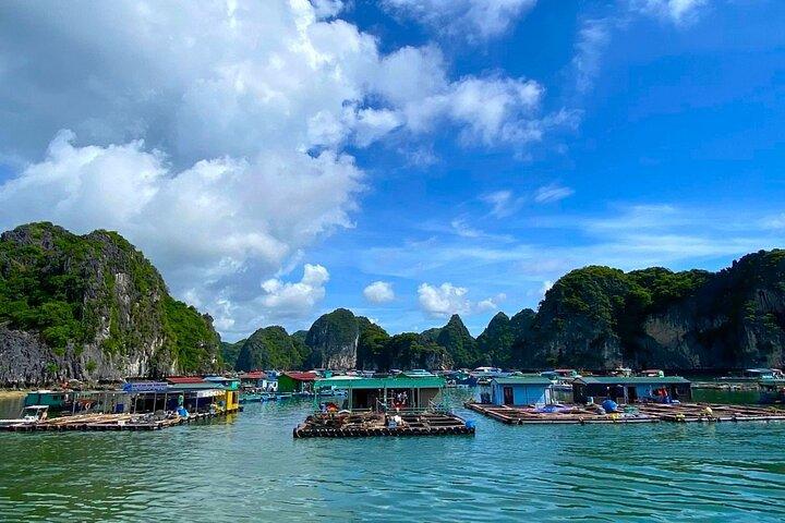 Hanoi- Cat Ba 2D1N: Hike Cat Ba National Park& Explore Lan Ha Bay