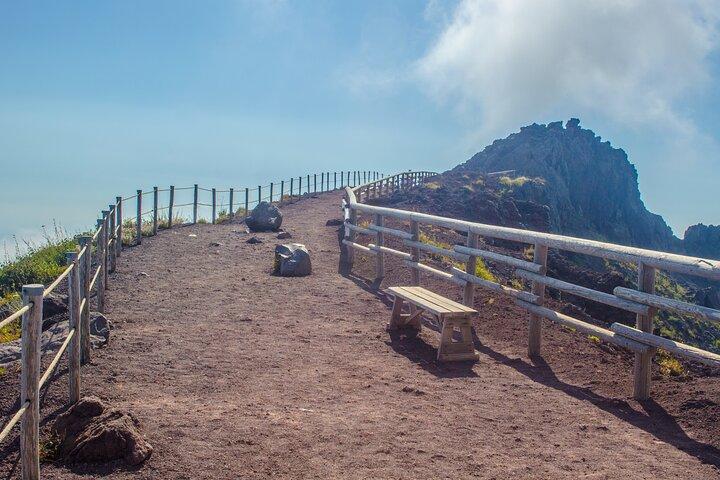 Vesuvius & Pompeii Trip from Naples Port
