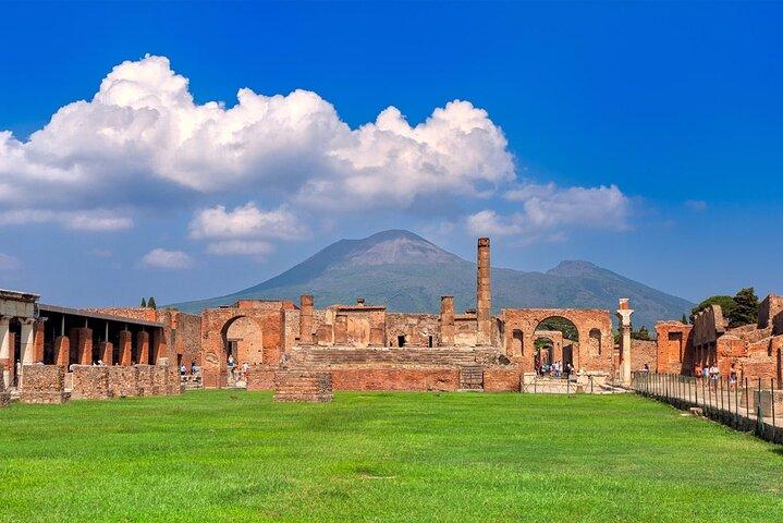 Vesuvius & Pompeii Trip from Naples Port