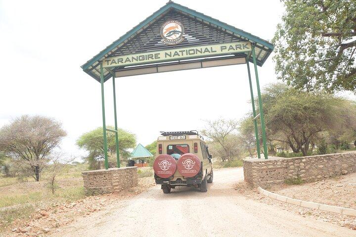 6 Day Ngorongoro and Serengeti Great Migration & Big Five safari