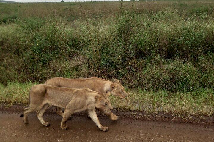 Nairobi Airport to Hotel Transfers with city tour