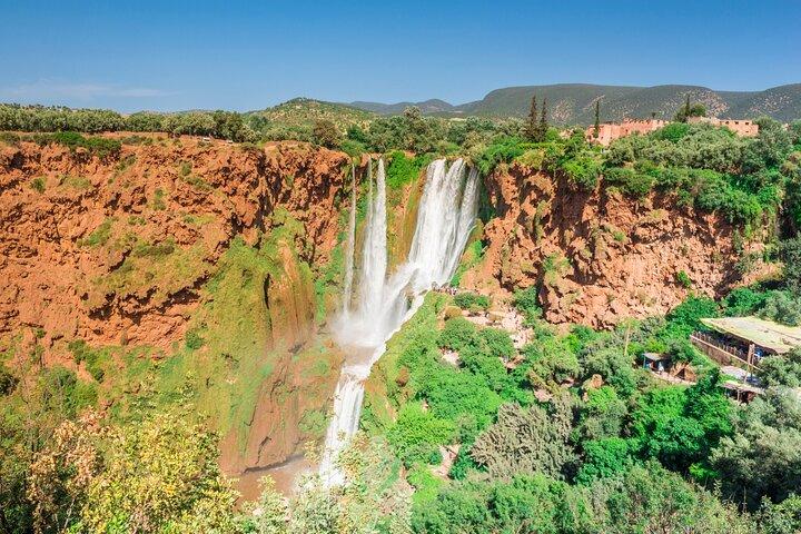 Ouzoud Waterfalls Private Day Trip from Marrakech