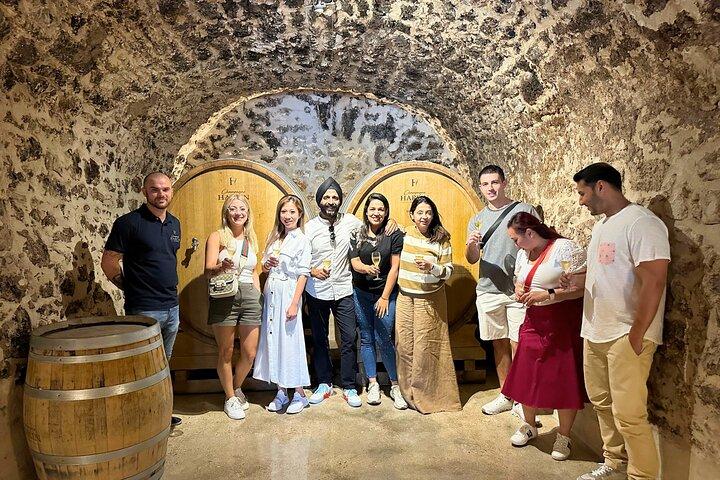 Champagne Tour and Tasting with a friendly guide in Marne Valley