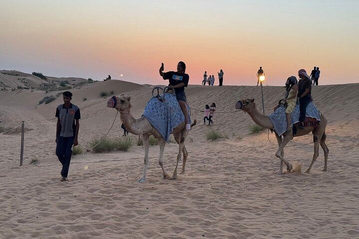 Premium Desert Safari Activities for Group and Family