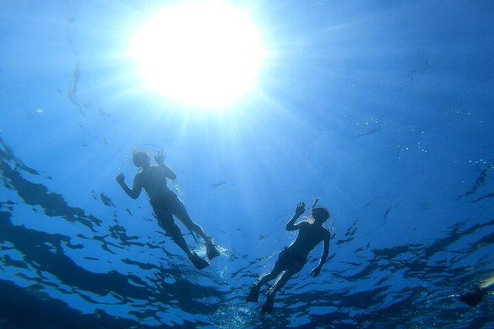 Private Snorkeling Adventure with Transportation
