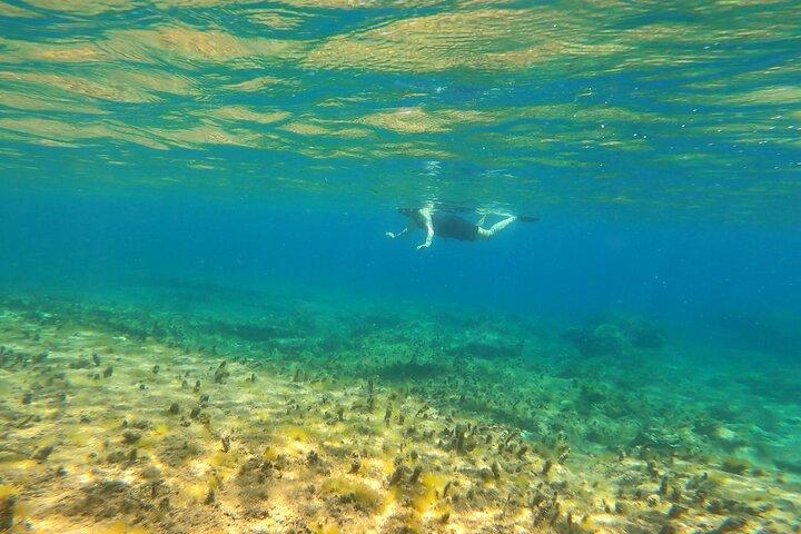 Private Snorkeling Adventure with Transportation