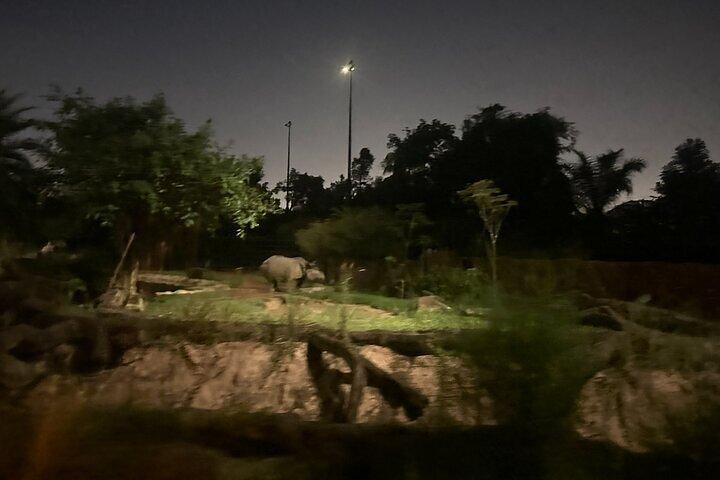 Singapore Night Safari