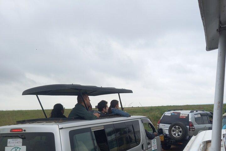 Wildlife safari at Nairobi National Park