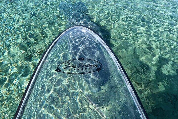 Silver Springs Clear Kayak Tour – Manatees & Monkeys Tour