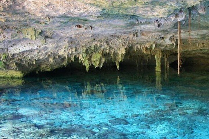 Half Day Semiprivate Snorkeling with Turtles and Majestic Cenote