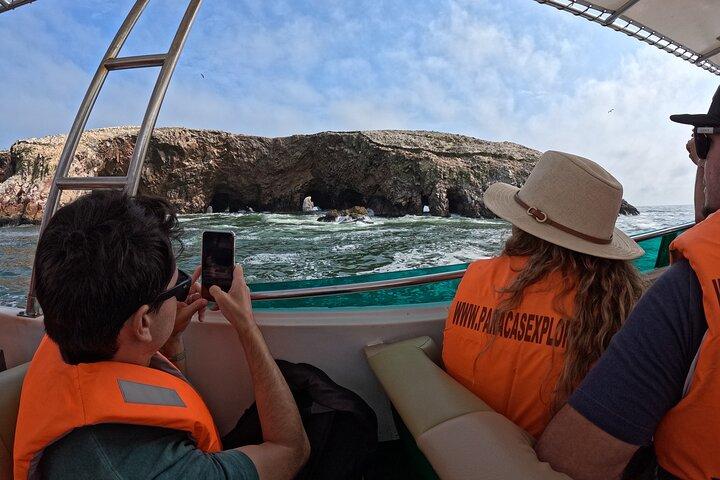 Ballestas Islands, Vineyards and Buggies in Huacachina from Paracas