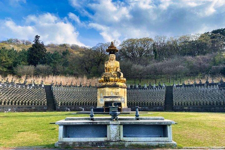Eastern Jeju: All Inclusive Private Tour w/ Tangerine picking