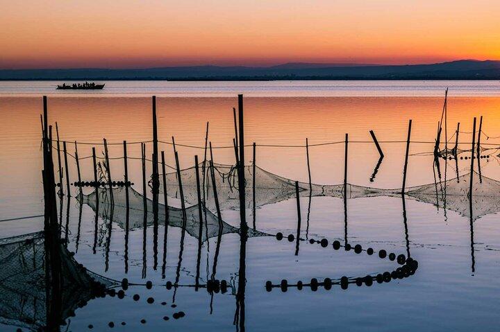 From Valencia: Albufera Natural Park with Sunset Boat Tour