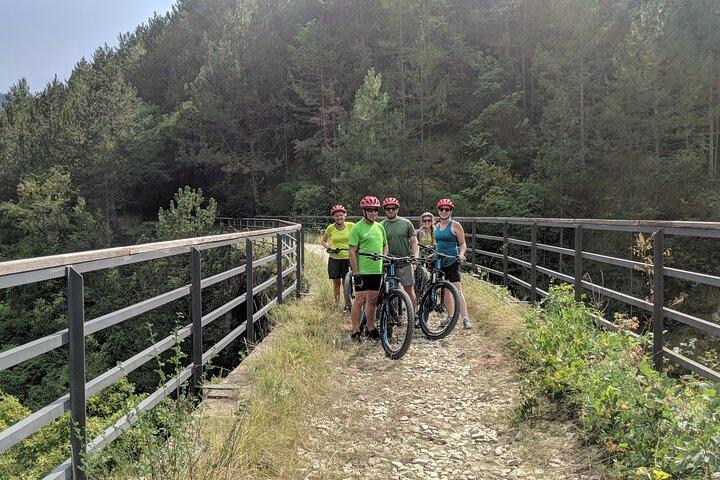 E-bike Tour: Istrian Countryside & Parenzana
