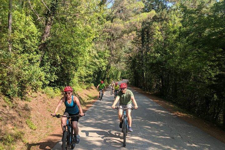 E-bike Tour: Istrian Countryside & Parenzana