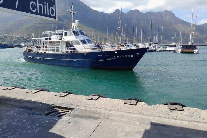 Table Mountain, Penguins, Cape of Good Hope: Private Tour