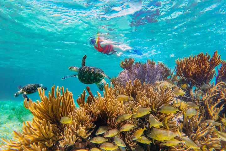 Puerto Morelos Snorkel, Town Walk, Tequila Tasting & Beach Lunch
