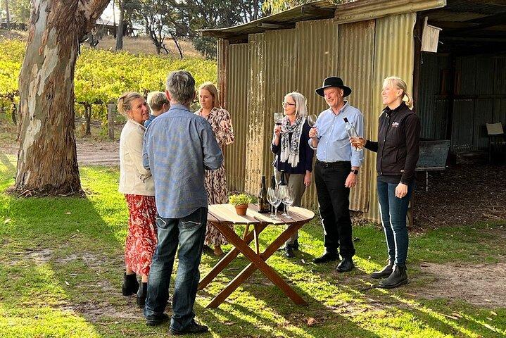 McLaren Vale Winery Small Group Tour with Wine Tasting and Lunch