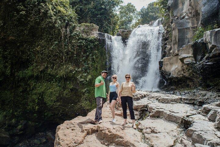 Ubud Small Group Tour: Monkey Forest, Tegalalang Rice Terraces and more