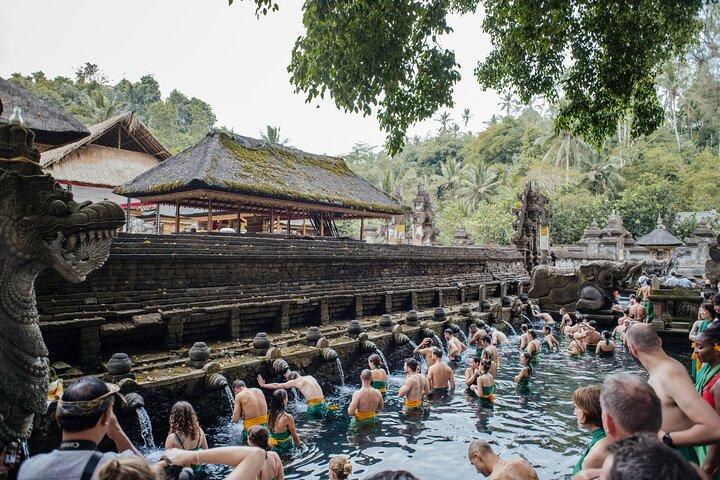 Ubud Small Group Tour: Monkey Forest, Tegalalang Rice Terraces and more