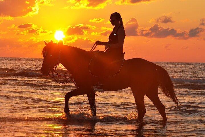 Horseback riding or camel at sunset in Djerba