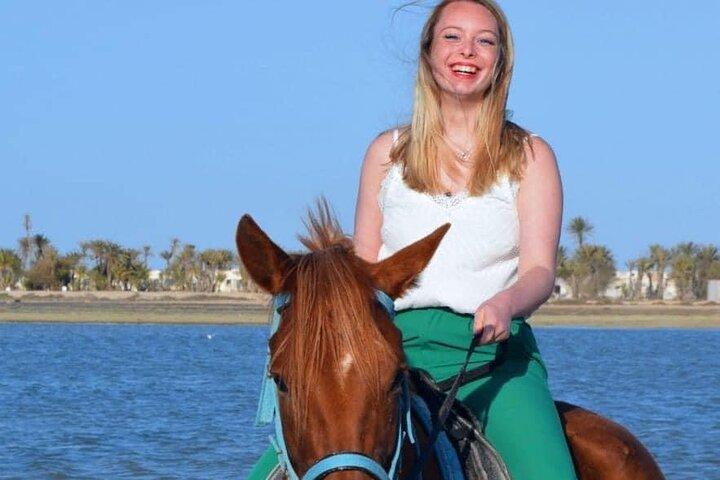 Horseback riding or camel at sunset in Djerba