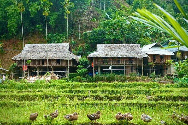 Immerse in Mai Chau: Explore the Colorful Northwest & Hidden Cave