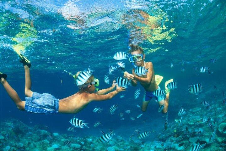 Khaolak: Phi Phi & Maya Bay Speedboat Tour with Transfers & Lunch