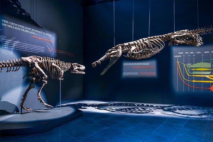 Dubai Crocodile Park Entry Tickets