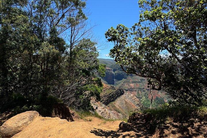 Kauai Island Tour : Journey to Waimea Canyon & More Highlights