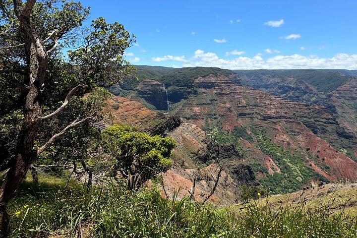 Kauai Island Tour : Journey to Waimea Canyon & More Highlights