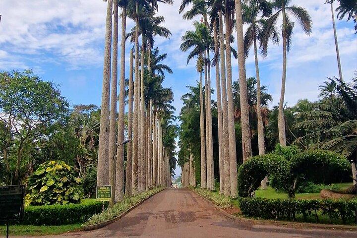 Aburi Botanic Gardens, Boti Falls,Umbrella Rock & Cocoa Farm Tour