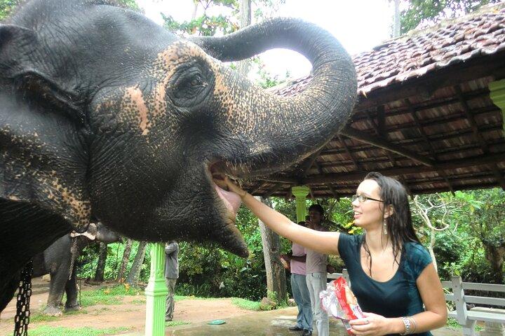 Round Up Sri Lanka in 10 Days Sightseeing Cultural and Activities