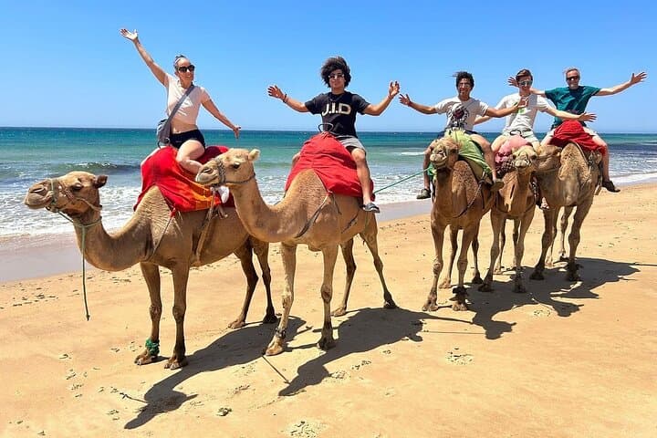 Tangier: 4-Hour Shore Excursion for Cruise Passengers