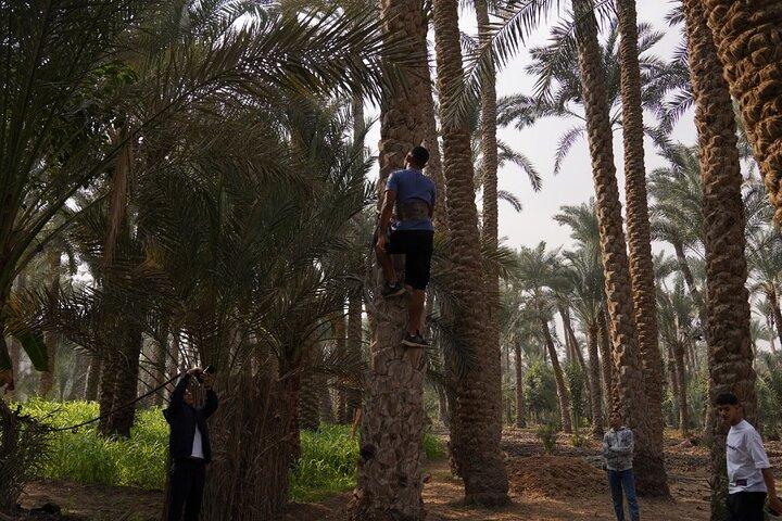 A day like a farmer in Dahsure countryside with locals