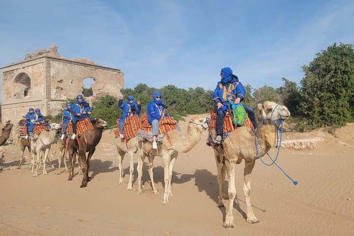 Essaouira 1-Hour Discovery Ride on a Camedary