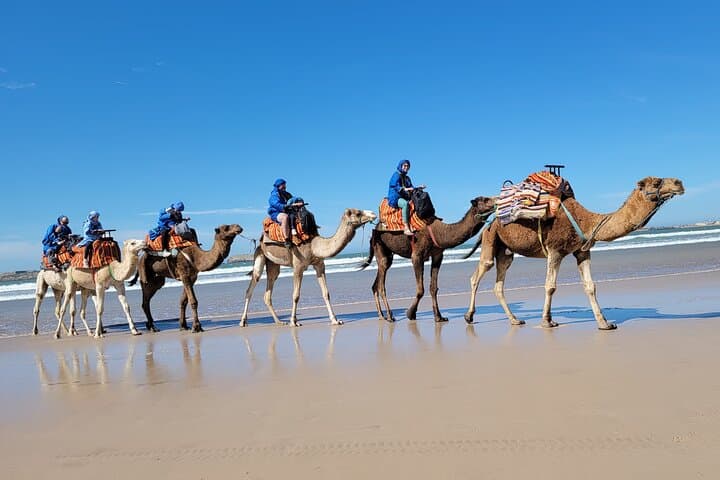Essaouira 1-Hour Discovery Ride on a Camedary