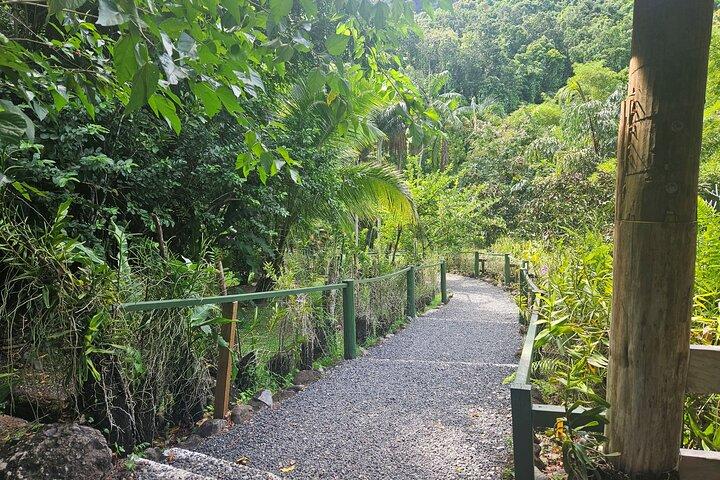 Private Tour: Hot spings & Sleeping Giant Garden hiking Adventure