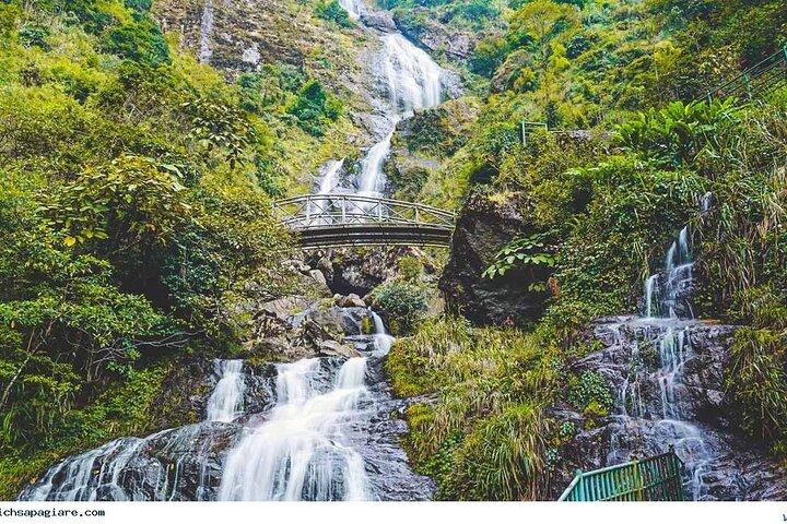 Private Sapa Motorbike Tour - Tea Hill