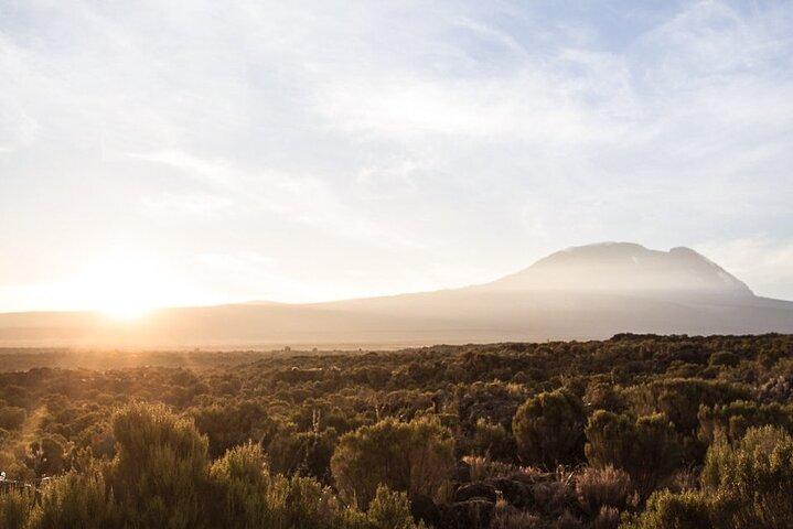 Kilimanjaro Lemosho Climb, Private Camp 10 Day Trekking Tour