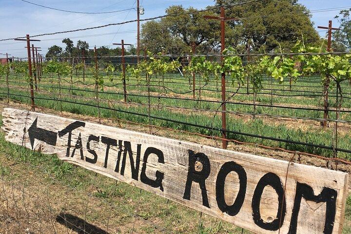 Fredericksburg Hill Country Aficionado Wine Tour from San Antonio